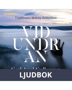 Vidundran, Ljudbok