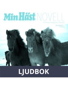 Äventyr på Island, Ljudbok