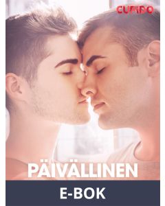 Päivällinen Geirin kanssa, E-bok