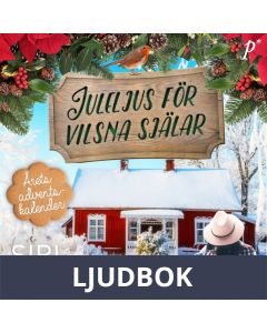 Juleljus för vilsna själar, Ljudbok