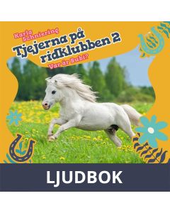 Tjejerna på ridklubben 2 - Var är Bubi?, Ljudbok
