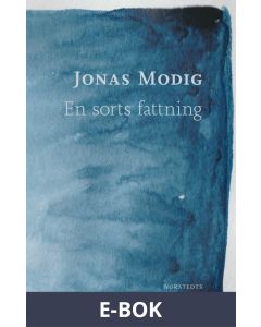 En sorts fattning, E-bok