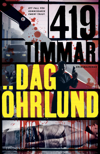 419 Timmar