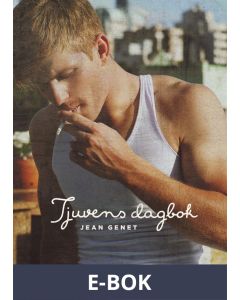 Tjuvens dagbok, E-bok