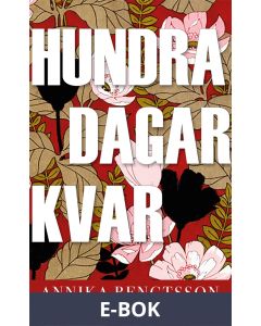 Hundra dagar kvar, E-bok