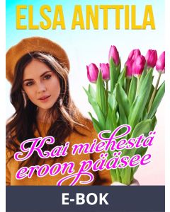 Kai miehestä eroon pääsee, E-bok