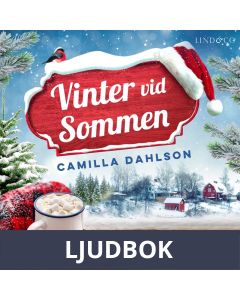 Vinter vid Sommen, Ljudbok