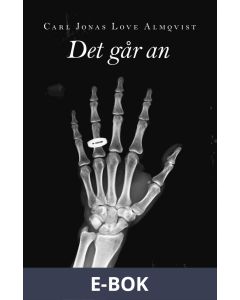 Det går an, E-bok
