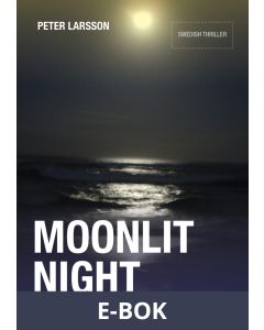 Moonlit Night, E-bok