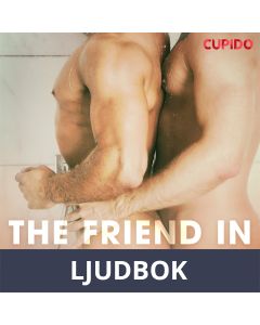 The Friend in the Shower, Ljudbok