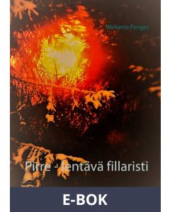 Pirre - lentävä fillaristi: tarina alkaa..., E-bok