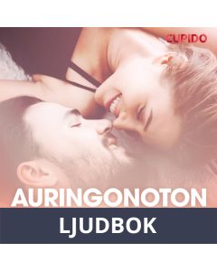 Auringonoton jälkeen - eroottinen novelli, Ljudbok