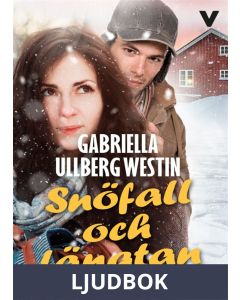 Snöfall och längtan, Ljudbok