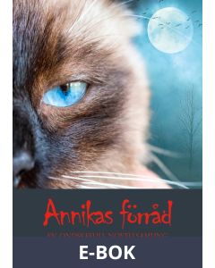 Annikas förråd: En ondskefull novellsamling, E-bok