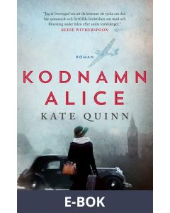 Kodnamn Alice, E-bok