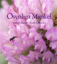 Osynliga mirakel