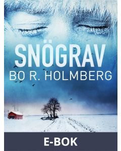 Snögrav, E-bok