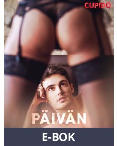 Päivän kohokohta, E-bok