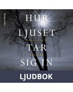 Hur ljuset tar sig in, Ljudbok