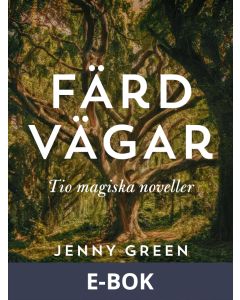 Färdvägar, E-bok
