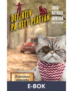 Detektiv på hett plåttak, E-bok