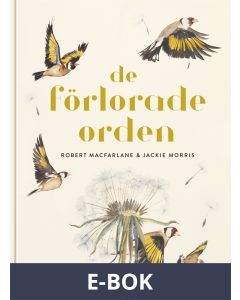 De förlorade orden, E-bok
