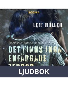 Det finns inga enfärgade zebror, Ljudbok