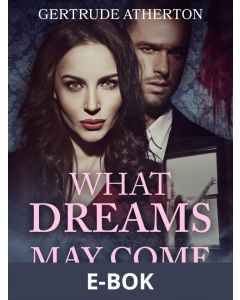 What Dreams May Come, E-bok