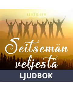 Seitsemän veljestä, Ljudbok