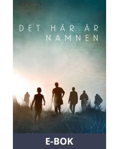 Det här är namnen, E-bok