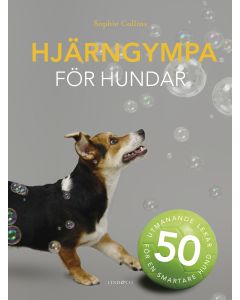 Hjärngympa för hundar