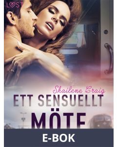 Ett sensuellt möte - erotisk novell, E-bok