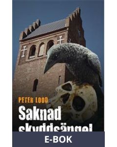 Saknad skyddsängel , E-bok