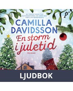 En storm i juletid, Ljudbok