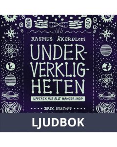 Underverkligheten : Upptäck hur allt hänger ihop, Ljudbok