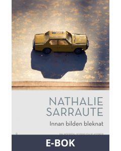 Innan bilden bleknat, E-bok