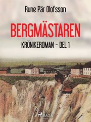 Bergmästaren :¿krönikeroman, del 1