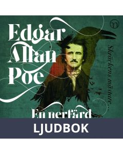 En nerfärd i malströmmen, Ljudbok