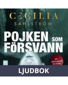 Pojken som försvann, Ljudbok