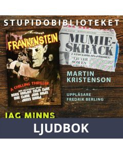 Jag minns skräcksommaren -72, Ljudbok