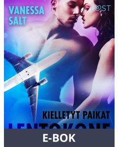 Kielletyt paikat: Lentokone - eroottinen novelli, E-bok