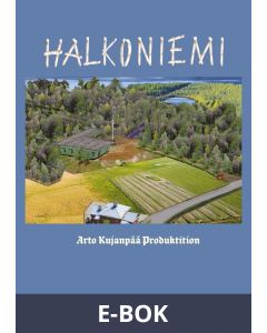Halkoniemi: Mielenterveys, E-bok
