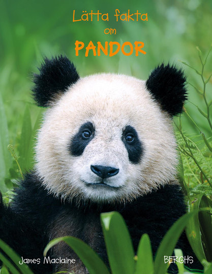 Lätta Fakta Om Pandor