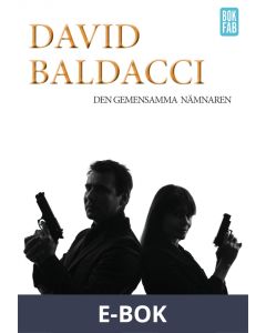 Den gemensamma nämnaren, E-bok