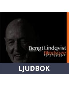 Blindstyre, Ljudbok