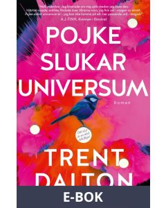 Pojke slukar universum, E-bok