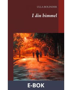 I din himmel, E-bok
