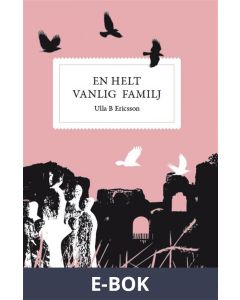 En helt vanlig familj, E-bok
