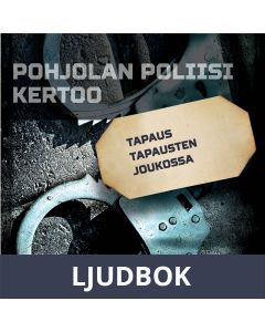Tapaus tapausten joukossa, Ljudbok