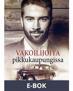 Vakoilijoita pikkukaupungissa, E-bok